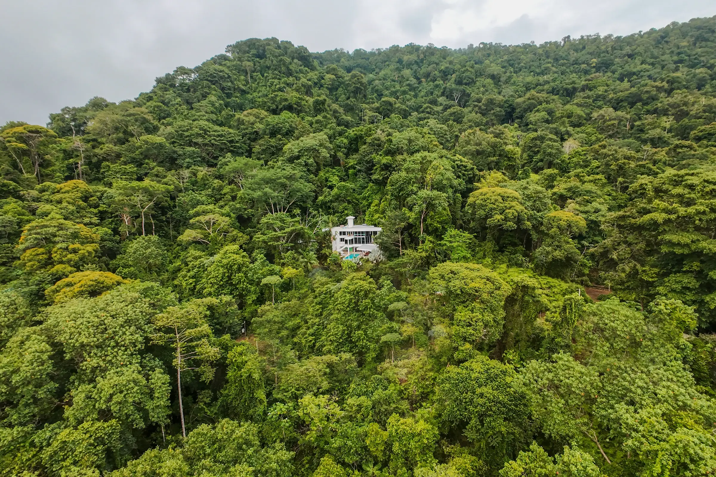 The house as a small white shape in an unbroken stretch of rainforest, with the coastal ridge beyond