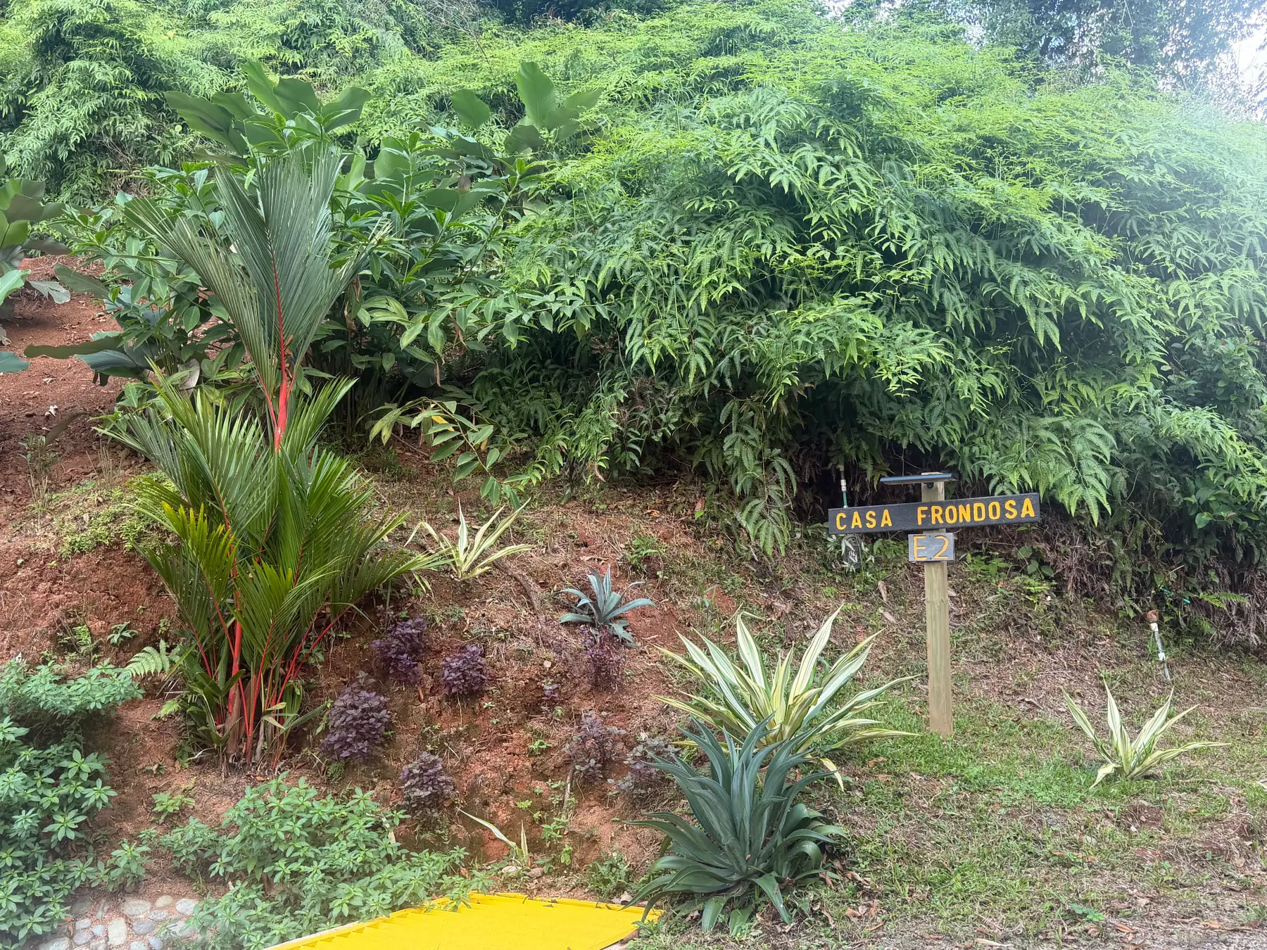 The Casa Frondosa sign at the edge of the garden, among heliconia and palms