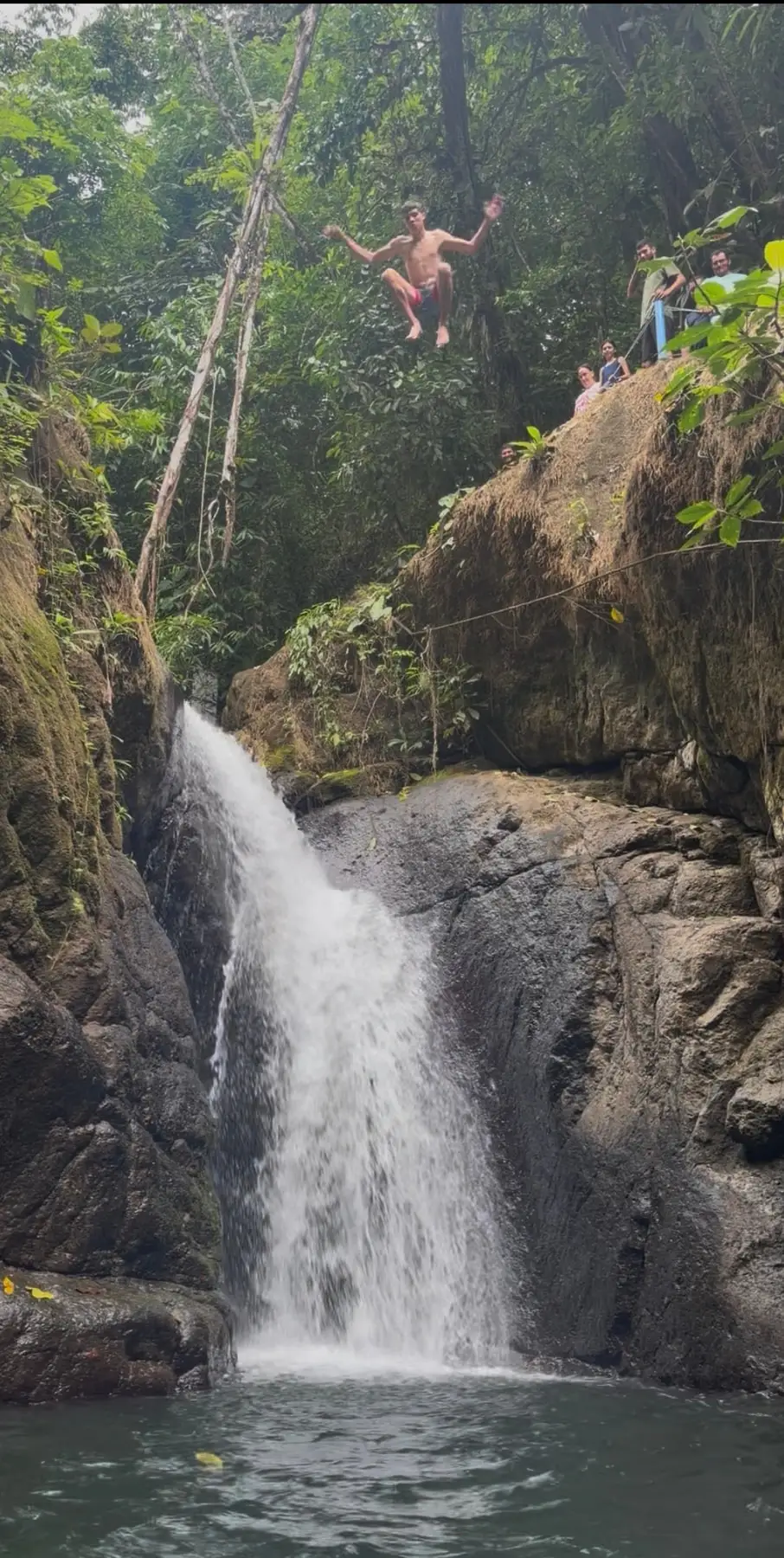 A waterfall dropping into a rock pool in the forest